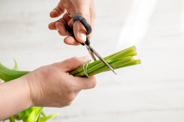 Женщина отрезает тюльпаны ножницами, прежде чем поставить в вазу, так что цветы не завянут и дольше в домашней комнате.