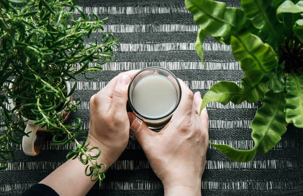 粘土粉与水混合 饮料为消化系统和健康好处的概念 女人的手捧着一杯灰粘土在家里厨房里喝 黑色背景和绿色植物 — 图库照片