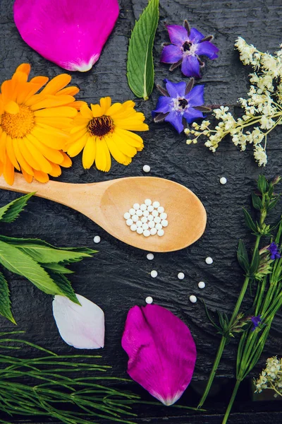 Pílulas Medicina Homeopática Colher Madeira Decorado Com Várias Plantas Frescas — Fotografia de Stock