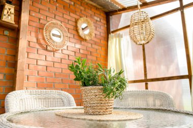 Balkondaki saksıda büyüyen sivrisinek kovucu bitki karışımı. Aromatik bitkiler biberiye, adaçayı ve nane şekeri. Böcekleri avluda yetişen ve uzaklaştıran açık hava konsepti..