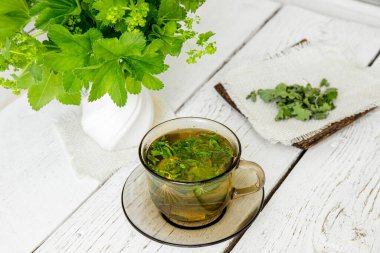 Alchemilla vulgaris, sade bir fincanda sıradan bir bayanın şifalı bitki çayı. Taze bayanın vazodaki manto bitkileri, bardaktaki çay ve tabakta kurutulmuş çay tozu, beyaz tahta arka plan..
