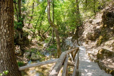 Rodos 'taki Kelebek Vadisi ya da Kelebekler Vadisi. Yazın yürüyüş yolları ve dereleri olan güzel bir park..