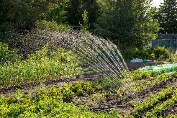 Απομίμηση Βροχής Περιστρεφόμενο Σύστημα Άρδευσης Νερού Στο Σπίτι Οικιακό Κήπο — Φωτογραφία Αρχείου