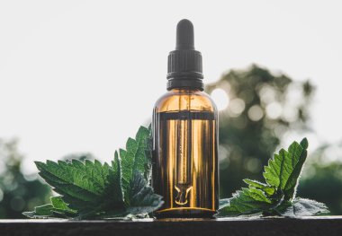 Vahşi organik Urtica dioica, yaygın ısırgan otu, açık havada taze bitki yapraklarıyla birlikte küçük kahverengi cam şişede ısırgan otu tentürü. Yaşam tarzı görüntüsü, kopyalama alanı ile bokeh arkaplan.