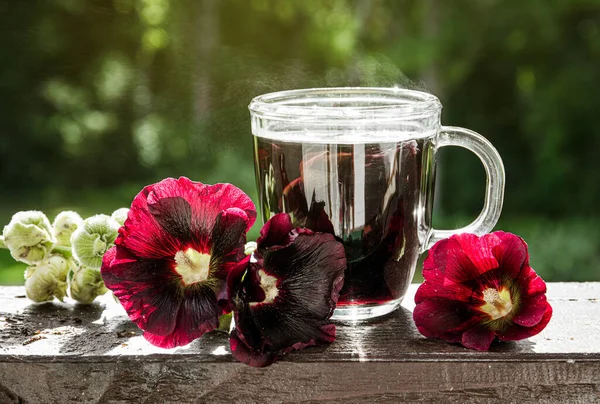 Herbal Medicinal Tea Drink Made Alcea Rosea Nigra Alcea Rosea — Stock Photo, Image