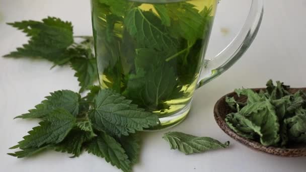 Herbal Tea Made Dry Urtica Dioica Known Common Nettle Burn — Stock Video