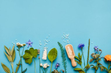 Düz görüş, kavanozlarda homeopatik ilaç hapları vardı ve açık mavi arka plan üzerine döküldü, çeşitli otlar ve bitkilerle süslenmiş, çiçekler. Homeopati sınır arkaplanı, bir sürü kopya alanı.