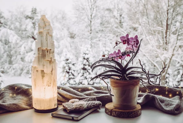 Cozy winter home set with natural selenite crystal electric tower lamp illuminated on window sill, gray color scarf and gloves, paper note book orchid flower growing. Idyllic winter forest view.