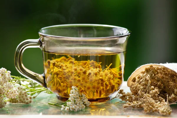 Still life of steaming Achillea millefolium, yarrow or common yarrow herbal medicinal tea in glass with dry tea powder and fresh blossoms on blurred forest background in balcony. Herbal medicine.