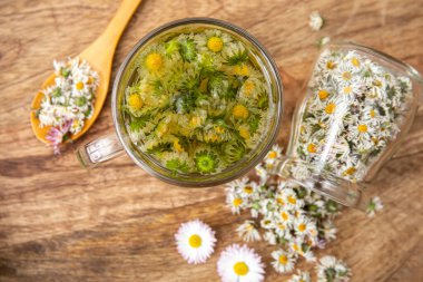 Kurumuş bitkisel bitki örtüsünün üstünde. Bilinen adıyla Bellis Perennis. Kuru çiçekler cam kavanozda çiçek açarlar ve bardakta bitki çayı içerler. Kapalı alanda sakin bir hayat, ahşap bir arka plan..