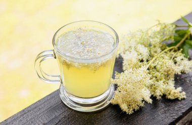 Taze Meadowsweet, Filipendula ulmaria çiçekleri çay fincanında çay karışımı ve yanında taze koparılmış çiçek. Arka ışık.