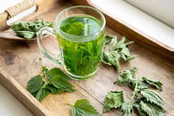 Herbal Tea Made Dry Urtica Dioica Known Common Nettle Burn Stock Photo