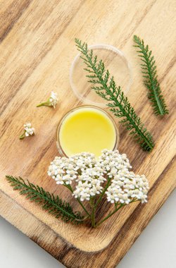 Merhem, Achillea Millefolium, kireç veya sıradan kireçten yapılır. Ahşap arka planda tıbbi merhem olan kavanoz. Dekorasyon için taze çiçek. Durgun hayat.