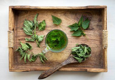 Isırgan otu, ısırgan otu ya da cam bardaktaki ısırgan otu yaprakları olarak bilinen kuru Urtica dioica bitkisinden yapılmış bitki çayının üstünde. Ev mutfağında tahta tepsi..