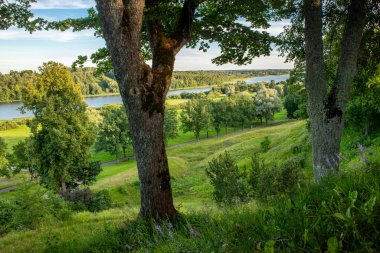 Lake Viljandi in Estonia, seen from above park. Lush valley with lake on beautiful sunny summer day.  clipart