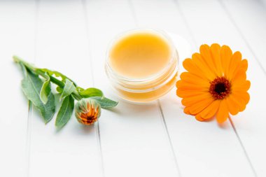 Salve, Calendula officinalis ile yapıldı, kadife çiçeği, kadife çiçeği, rubleler, Mary 'nin altını ya da İskoç kadife çiçeği. Beyaz arka planda tıbbi merhemi olan kavanoz. Dekorasyon için taze çiçek.. 