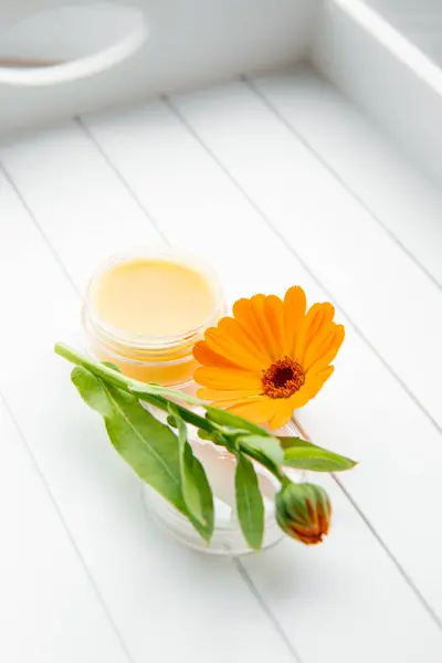 Stock image Salve made with Calendula officinalis, the pot marigold, common marigold, ruddles, Mary's gold or Scotch marigold. Jar with medicinal balm on white background. Fresh flower for decoration. 