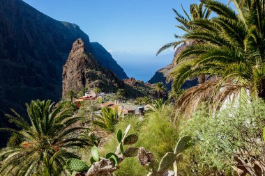 Masca Vadisi 'ndeki küçük Masca köyü, Teno, Tenerife' de yer alıyor. Tenerife adasındaki kayalıklar arasındaki köy.