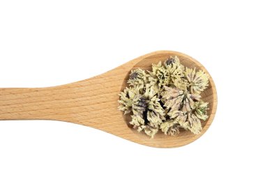 Kuru beyaz yoncanın düz manzarası. Trifolium pişman olur. Çiçekler açar, tahta kaşıkta bitkisel çay tozu..