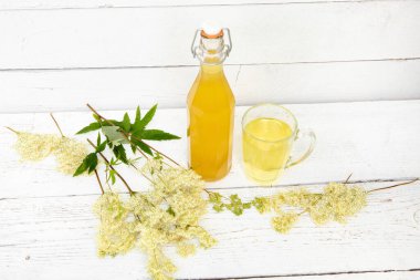 Ev yapımı MeadowSweet Filipendula ulmaria çiçek şurubu şişesi, bardakta içki ve beyaz renkli ahşap arka planda çayır ağacı dalları ve çiçekleri topladım..