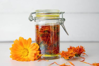 Making homemade Calendula officinalis common marigold cold infusion oil in glass jar. Dry flowers are soaked in olive oil at room temperature. White wood board background.