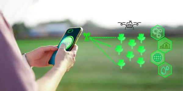 hand use smart phone to control AI managing smart farm via system, water and drone argriculture in internet connection