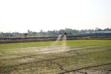 akıllı tarım teknolojisi yenilik kavramında çiftlikte otomatik drone püskürtme