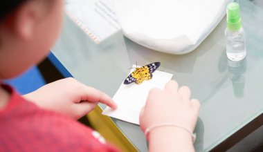 Bir çocuk evdeki bir masada büyüyen bir kelebeğe bakıyor, yukarıdan vurularak.