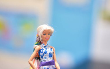 Dry kostümlü Barbie bebek