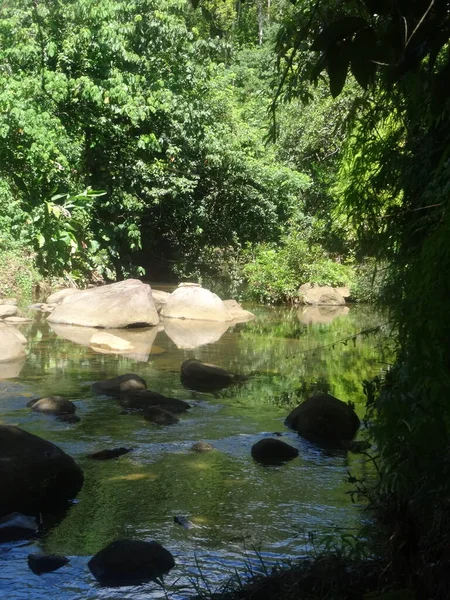 Ποτάμι Ρέει Μέσα Από Καταπράσινο Τροπικό Δάσος — Φωτογραφία Αρχείου