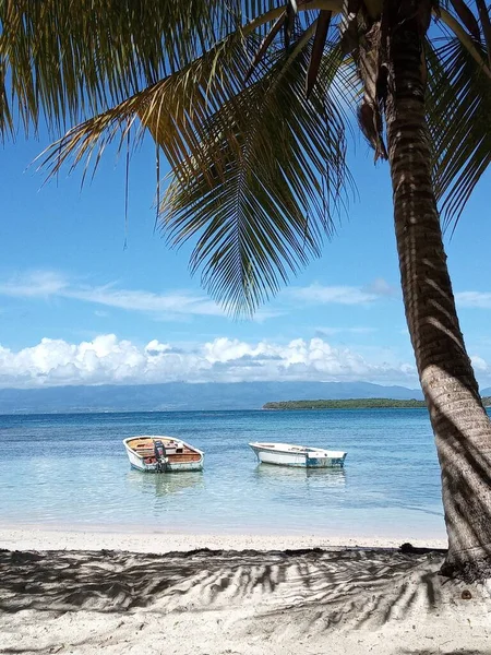 Palmboom Het Witte Zandstrand Voor Hemelse Blauwe Zee Met Boten — Stockfoto