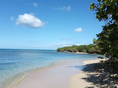 Ağaçların arkasında, beyaz kumsal ve mavi gökyüzünün altında turkuaz deniz.