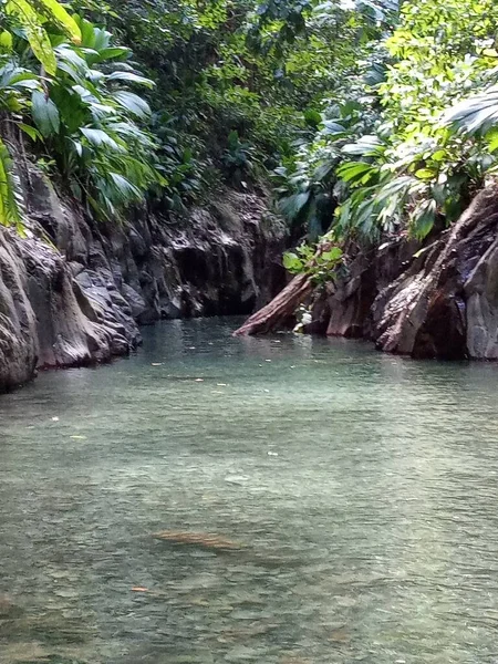 Rio Corre Através Exuberante Floresta Tropical — Fotografia de Stock