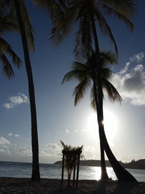 Palmiye ağaçlarının arkasında, güneş denizin üzerinde batar.