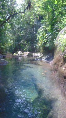 Yağmur ormanlarında küçük bir göl