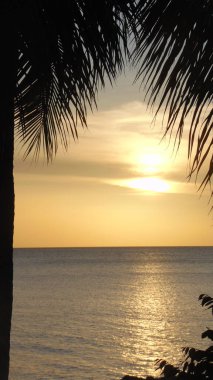 Palmiye yapraklarının arkasında, güneş denizin üzerinde batar.