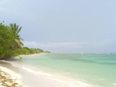 Beyaz kumsal ve mavi gökyüzünün altındaki turkuaz deniz.