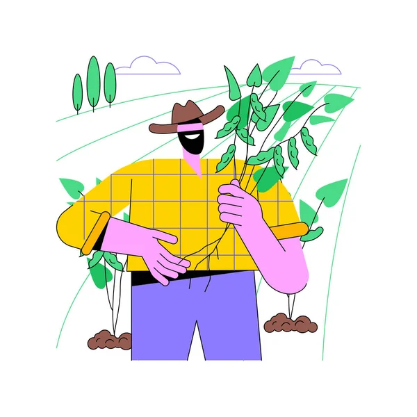 Soybean Crops Isolated Cartoon Vector Illustrations Farmer Holding Soybean Stem — Stock Vector