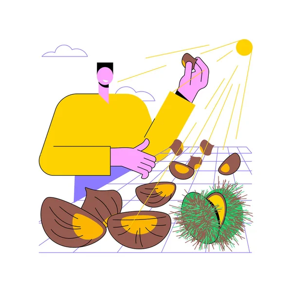 Chestnut Farm Isolated Cartoon Vector Illustrations Farmer Controls Chestnut Production — Image vectorielle