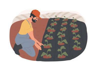 Sentetik gübre, karikatür vektör çizimlerini izole etti. Toprağı ottan korumak için sentetik gübre kullanan çiftçi, modern tarım, organik tarım endüstrisi, ot kontrol vektör karikatürü.