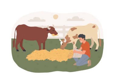 Hormonlar ve antibiyotikler hayvansal gıdalar karikatür vektör çizimleri. Çiftçi inekleri saman, modern tarım, organik tarım endüstrisi ve çiftlik hayvanlarıyla besler..