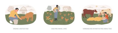 Organik çiftlik hayvanları karikatür çizimleri ayarlandı. Organik hayvan yemi, kafessiz hayvan yemi, hormonlar ve antibiyotikler bedava hayvan maması, kümes hayvanları çiftliği çizgi filmi.