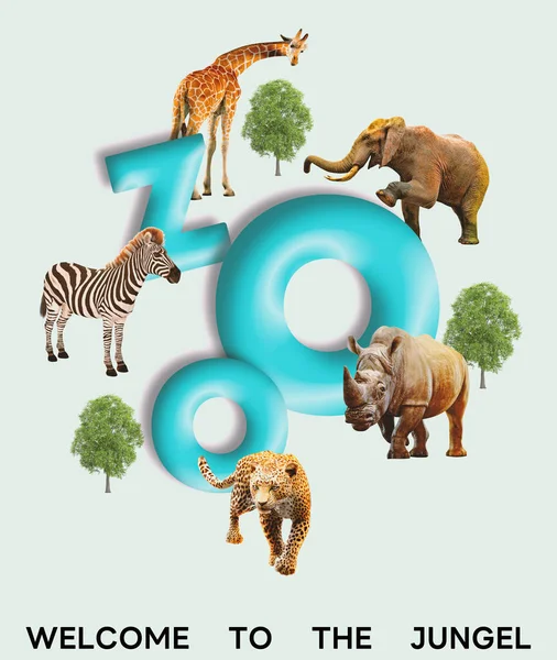 Composite of a large group of wildlife zoo animals