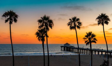 Manhattan Beach, California 'da palmiye ağaçları olan günbatımı plajı. Moda seyahati ve tropik plaj konsepti.