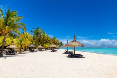 Tropik plaj. Plaj şemsiyeleri tropikal sahilde palmiye ağaçları ve Mauritius Adası 'ndaki tropikal deniz..