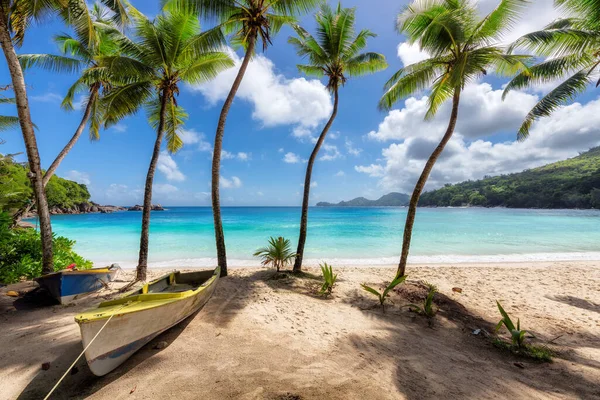 Paradise Beach Sunny Tropical Beach Turquoise Sea Palm Trees Boats — Stock Photo, Image