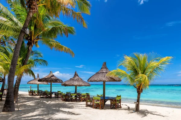 stock image Beach cafe on sandy beach, tables under straw umbrellas, palm trees and beautiful sea on exotic tropical island.