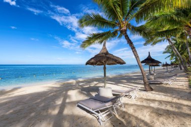 Mauritius adasında palmiye ağaçları, saman şemsiyeleri ve tropikal denizi olan cennet plajı..