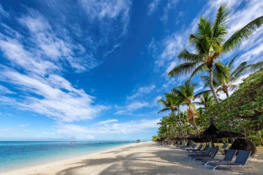 Mauritius adasında palmiye ağaçları, saman şemsiyeleri ve tropikal denizi olan cennet plajı..