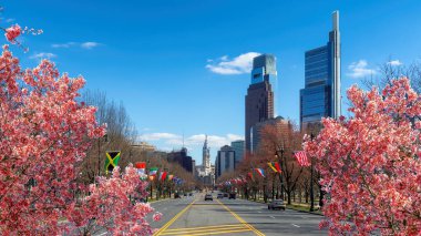 Philadelphia ufuk çizgisi bahar kiraz çiçekleriyle ilkbahar güneşli bir günde, Philadelphia, Pennsylvania.